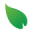 speciosa.org